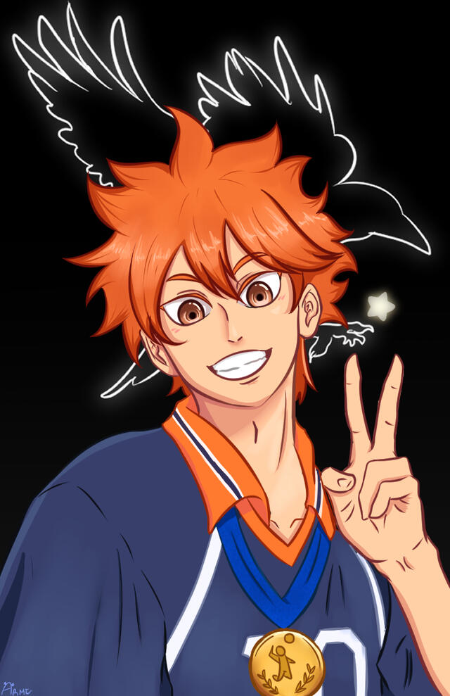 Shōyō Hinata - Haikyuu!
